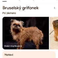 Profilová fotografia