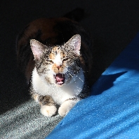 Profilová fotografia
